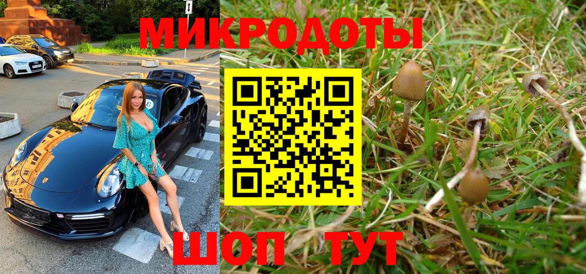 Псилоцибиновые грибы Magic Shrooms  продажа наркотиков  Вход с VPN  Тара  Галлюциногенные грибы GOLDEN TEACHER 