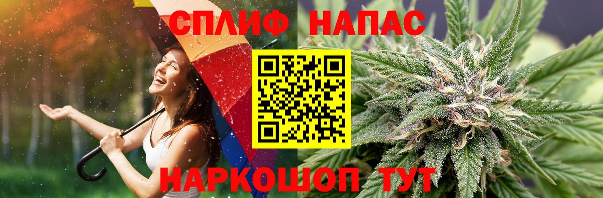 Бошки Шишки индика Тара
